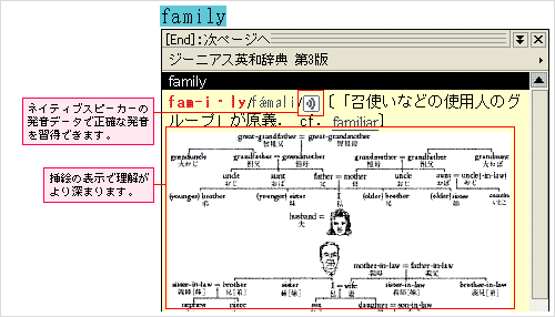 family画面