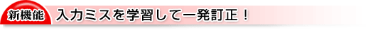 ̓~XwKĈꔭI