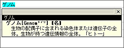 新語も多数収録しています。
