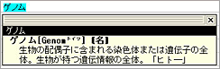 新語も多数収録しています。