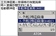 uICD10R[hvg\tgɍE邱ƂȂAaƃR[h̓͂\ɁB