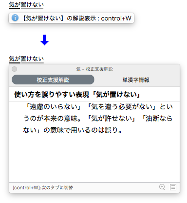 使い方を誤りやすい表現の指摘例